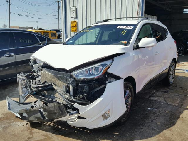 KM8JU3AG0FU109125 - 2015 HYUNDAI TUCSON LIM WHITE photo 2