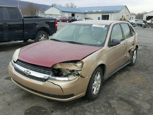 1G1ZT62825F203506 - 2005 CHEVROLET MALIBU MAX 金色 照片 2