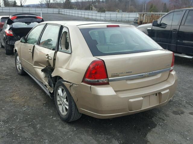 1G1ZT62825F203506 - 2005 CHEVROLET MALIBU MAX 金色 照片 3