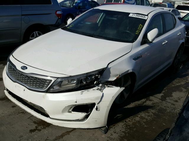 KNAGM4AD8G5094604 - 2016 KIA OPTIMA HYB WHITE photo 2