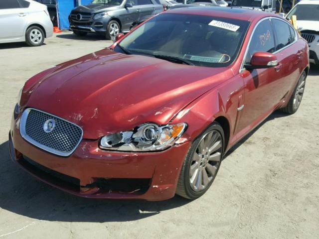 SAJWA06B39HR41992 - 2009 JAGUAR XF PREMIUM RED photo 2