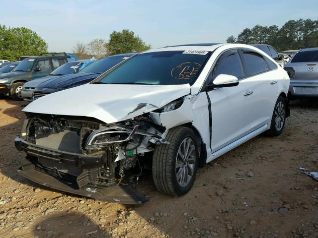 5NPE34AF8HH449707 - 2017 HYUNDAI SONATA SPO WHITE photo 2