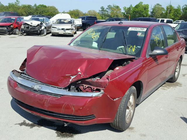 1G1ZT52895F247710 - 2005 CHEVROLET MALIBU LS წითელი ფოტო 2