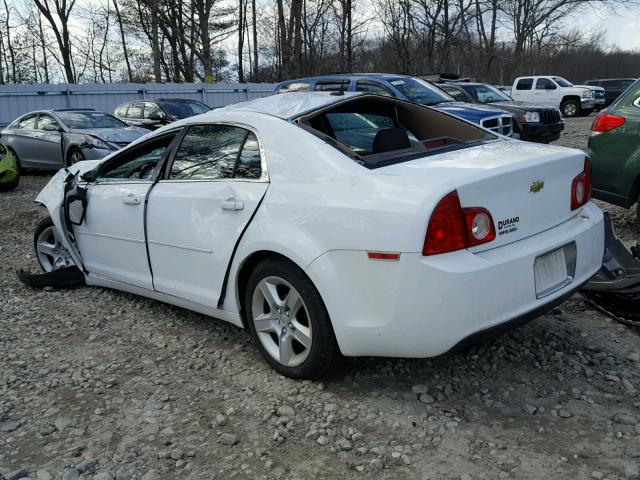 1G1ZB5EBXAF314528 - 2010 CHEVROLET MALIBU LS თეთრი ფოტო 3