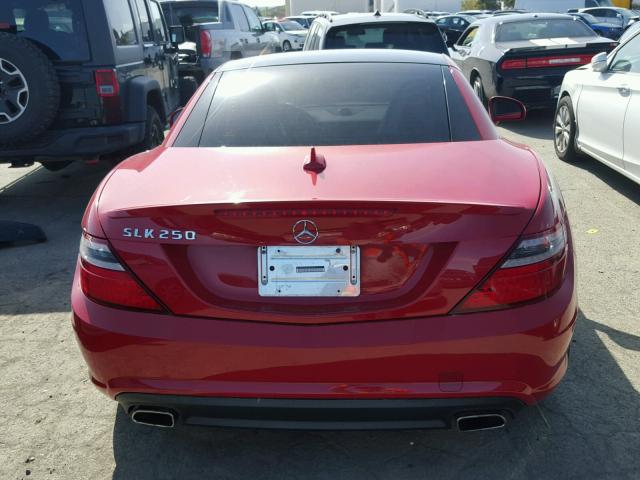 WDDPK4HA6EF087958 - 2014 MERCEDES-BENZ SLK 250 RED photo 6