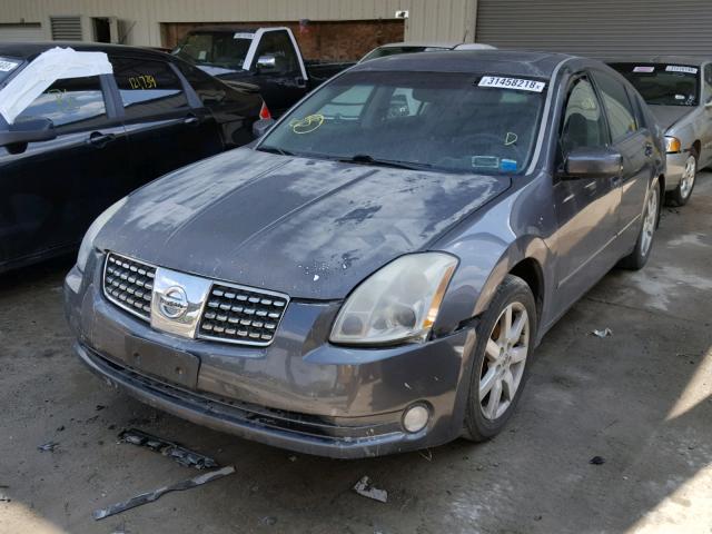 1N4BA41E25C823371 - 2005 NISSAN MAXIMA SE GRAY photo 2