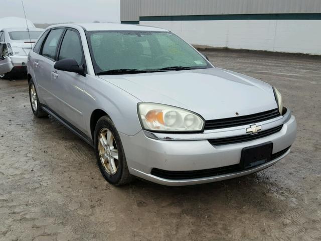 1G1ZT62825F290016 - 2005 CHEVROLET MALIBU MAX SILVER photo 1