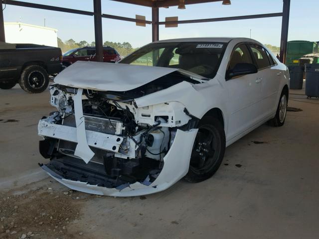 1G1ZB5EB8AF239988 - 2010 CHEVROLET MALIBU LS 白色 照片 2