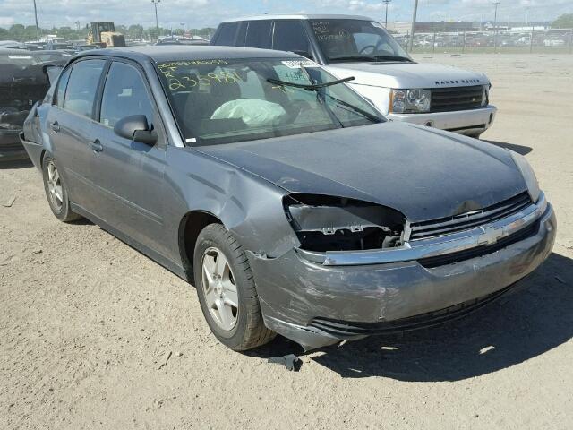 1G1ZT54884F235981 - 2004 CHEVROLET MALIBU LS GRAY photo 1