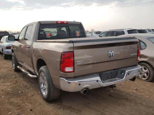 1D3HV13T99J505033 - 2009 DODGE RAM 1500 BROWN photo 3