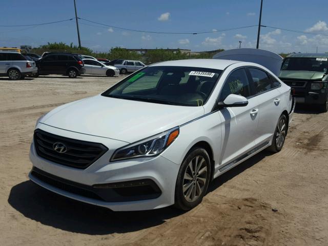 5NPE34AF2GH394198 - 2016 HYUNDAI SONATA SPO WHITE photo 2