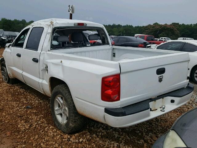 1D7RE3GKXBS601155 - 2011 DODGE DAKOTA SLT WHITE photo 3