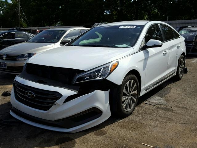 5NPE34AF2FH032015 - 2015 HYUNDAI SONATA SPO WHITE photo 2