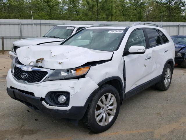 5XYKU4A2XBG025134 - 2011 KIA SORENTO EX WHITE photo 2