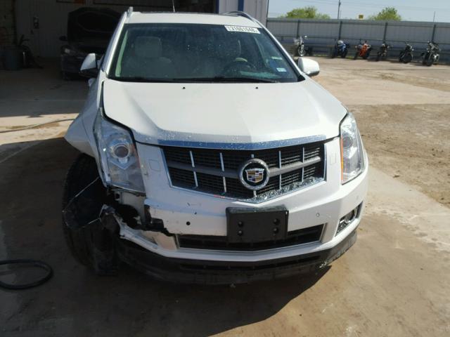 3GYFNBEYXBS639899 - 2011 CADILLAC SRX PERFOR 白色 照片 9