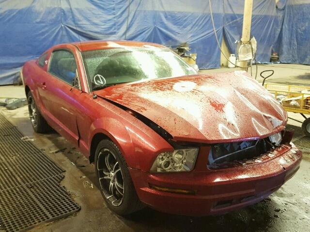 1ZVFT80N575281900 - 2007 FORD MUSTANG RED photo 1