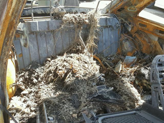 3VWBK21C52M450392 - 2002 VOLKSWAGEN NEW BEETLE 烧焦的 照片 6