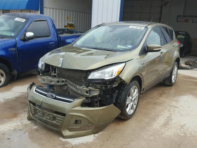 1FMCU0H99DUA72796 - 2013 FORD ESCAPE SEL GREEN photo 2