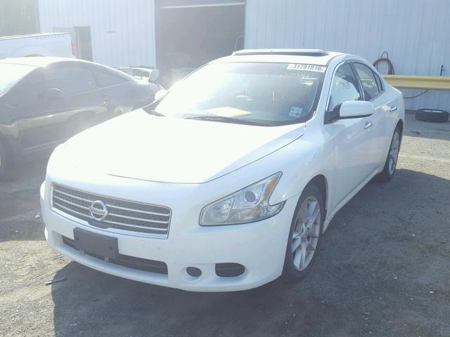 1N4AA5AP2AC860241 - 2010 NISSAN MAXIMA S WHITE photo 2