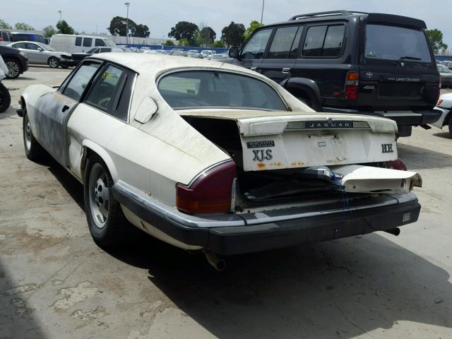 SAJNV5840FC120160 - 1985 JAGUAR XJS WHITE photo 3