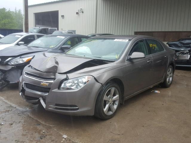 1G1ZC5E1XBF254692 - 2011 CHEVROLET MALIBU 1LT TAN photo 2