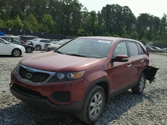 5XYKTCA1XBG074483 - 2011 KIA SORENTO BA RED photo 2