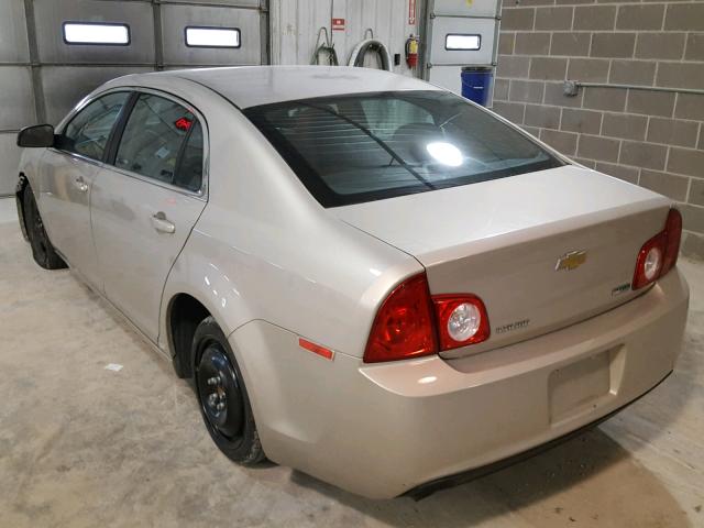 1G1ZA5EU4BF319990 - 2011 CHEVROLET MALIBU LS თაფლისფერი ფოტო 3