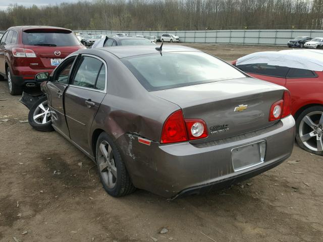 1G1ZC5E19BF268261 - 2011 CHEVROLET MALIBU 1LT 棕色 照片 3