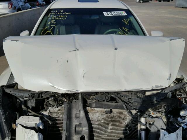 1N4BA41E77C865425 - 2007 NISSAN MAXIMA SE WHITE photo 7