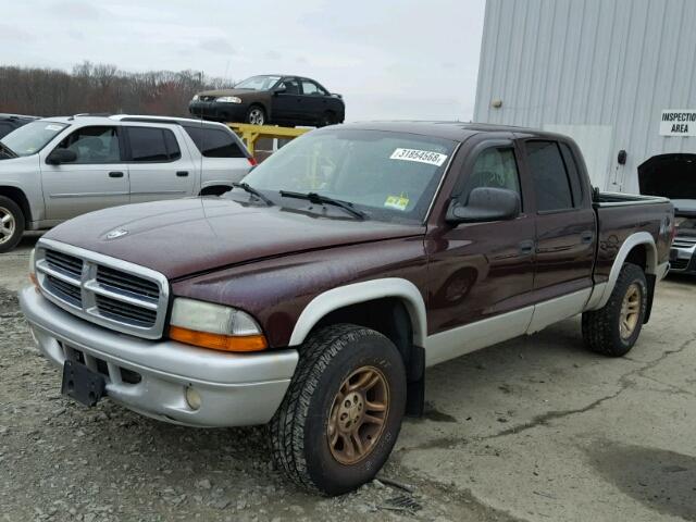 1D7HG48N04S559151 - 2004 DODGE DAKOTA QUA MAROON photo 2