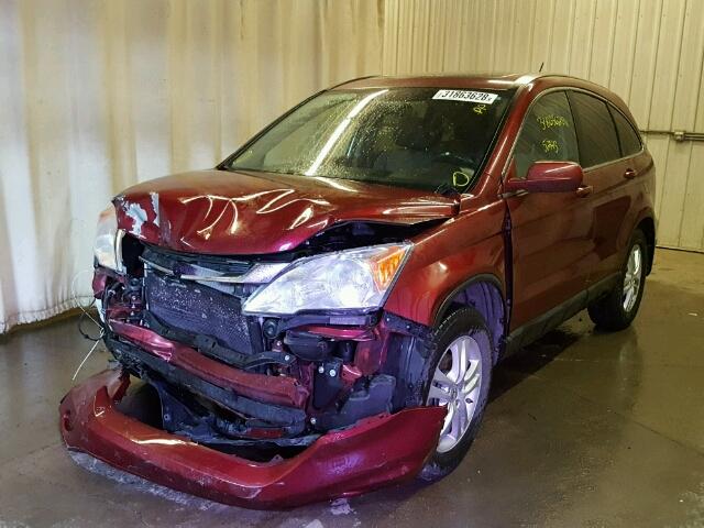 5J6RE4H74AL026340 - 2010 HONDA CR-V EXL RED photo 2