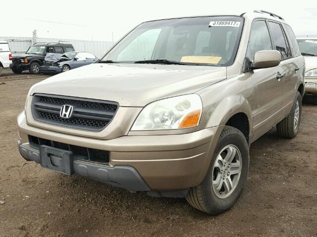 2HKYF18613H619990 - 2003 HONDA PILOT EXL GOLD photo 2