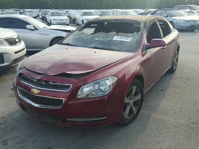 1G1ZJ57B19F175899 - 2009 CHEVROLET MALIBU 2LT BURGUNDY photo 2