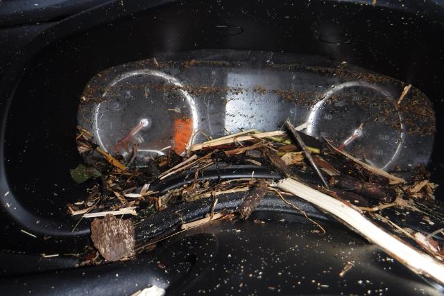 ZACCJBAT5GPC79187 - 2016 JEEP RENEGADE S Boz foto 8