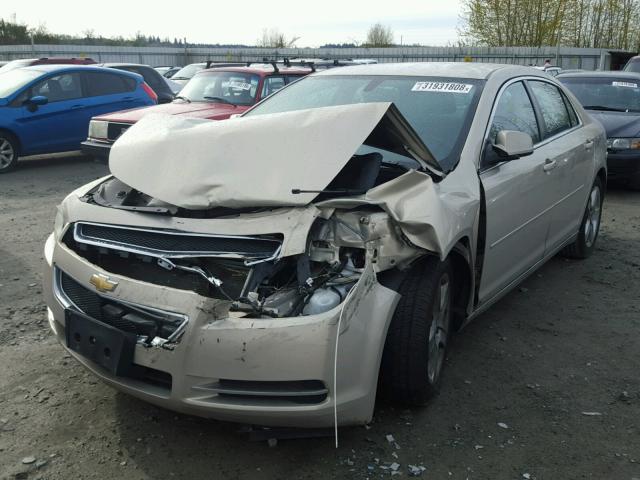 1G1ZH57B99F246858 - 2009 CHEVROLET MALIBU 1LT 金色 照片 2