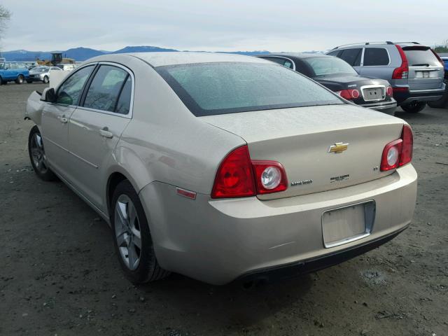 1G1ZH57B99F246858 - 2009 CHEVROLET MALIBU 1LT 金色 照片 3