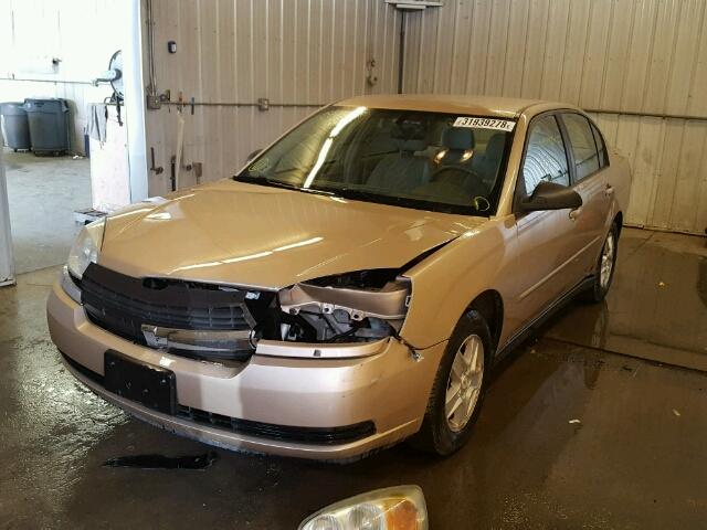 1G1ZT54895F122123 - 2005 CHEVROLET MALIBU LS 金色 照片 2