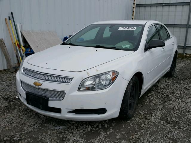 1G1ZB5E10BF391501 - 2011 CHEVROLET MALIBU LS თეთრი ფოტო 2