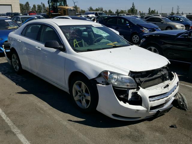 1G1ZA5EU3BF162307 - 2011 CHEVROLET MALIBU LS 白色 照片 1