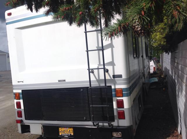 1RF120219N2019168 - 1992 ROADMASTER RAIL DYANASTER 奶油色 照片 4