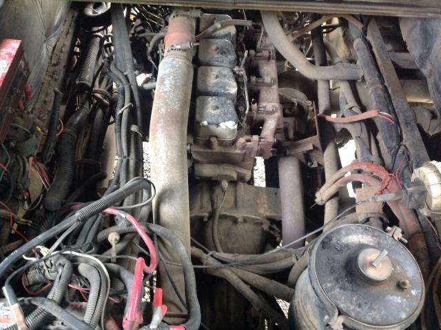 1RF120219N2019168 - 1992 ROADMASTER RAIL DYANASTER 奶油色 照片 7