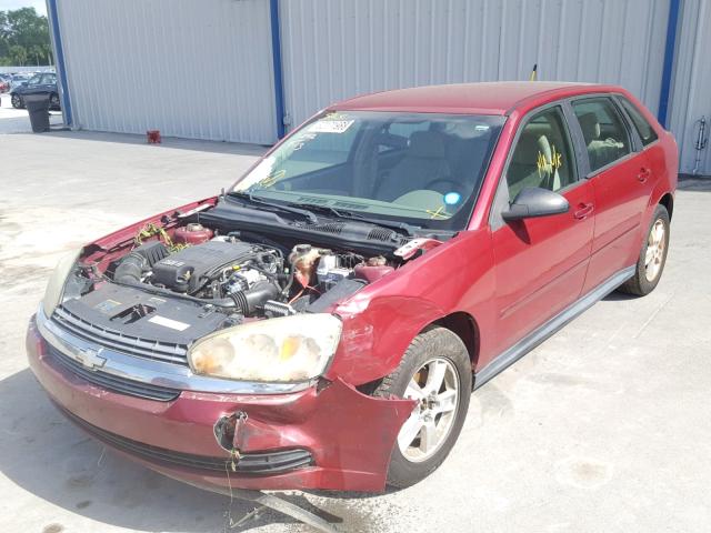 1G1ZT62885F191233 - 2005 CHEVROLET MALIBU MAX 红色 照片 2