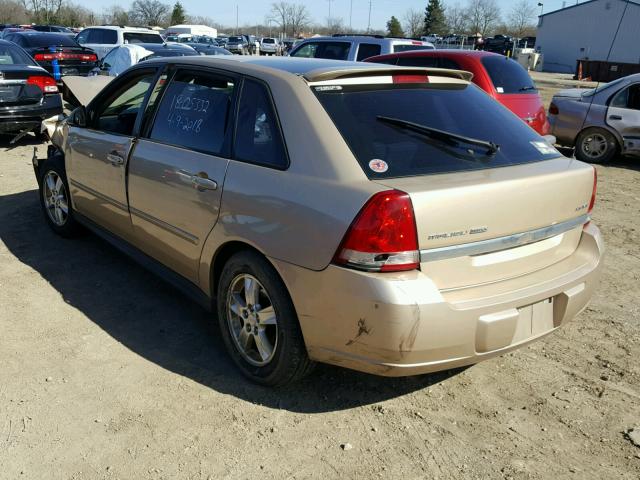 1G1ZT62895F121546 - 2005 CHEVROLET MALIBU MAX 金色 照片 3