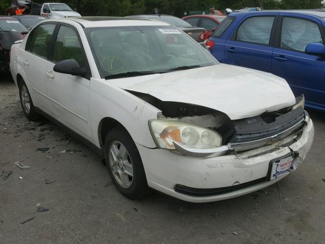 1G1ZT54885F286253 - 2005 CHEVROLET MALIBU LS თეთრი ფოტო 1