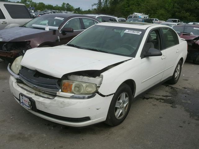 1G1ZT54885F286253 - 2005 CHEVROLET MALIBU LS თეთრი ფოტო 2