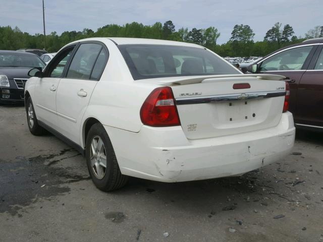 1G1ZT54885F286253 - 2005 CHEVROLET MALIBU LS თეთრი ფოტო 3