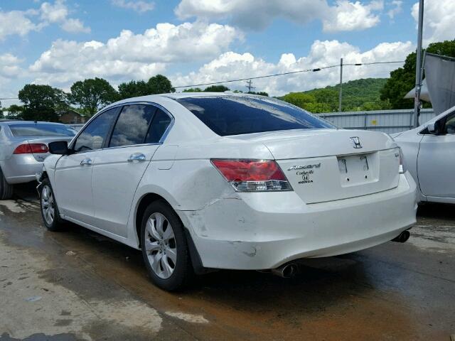 5KBCP3F84AB006007 - 2010 HONDA ACCORD EX- WHITE photo 3