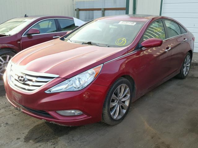 5NPEC4AC3BH039667 - 2011 HYUNDAI SONOTA MAROON photo 2