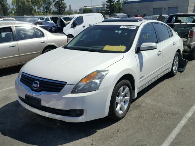 1N4CL21E58C252837 - 2008 NISSAN ALTIMA HYB WHITE photo 2