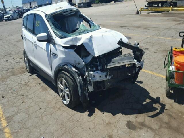 1FMCU0GX9EUE37687 - 2014 FORD ESCAPE SE WHITE photo 1